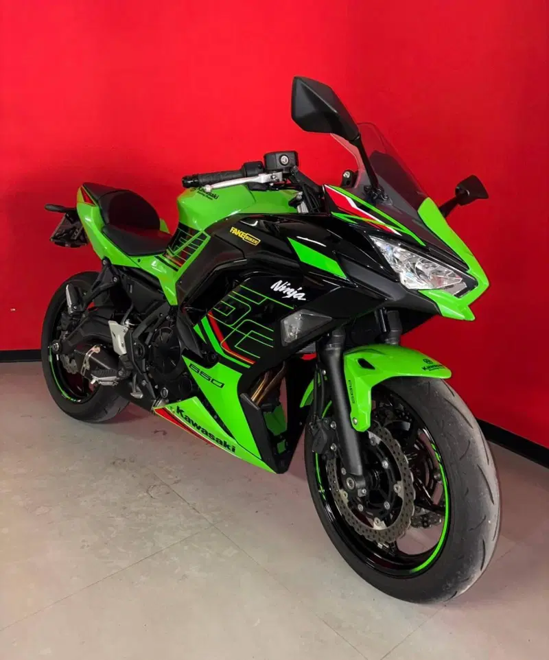 Kawasaki Ninja 650 (2021 - 24) (2)