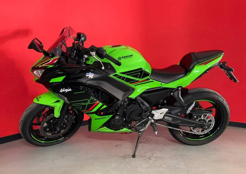 Kawasaki Ninja 650 (2021 - 24) (3)