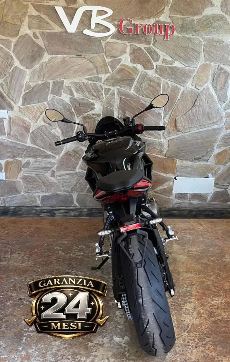 Aprilia Tuono 660 Factory (2025 - 26) (6)