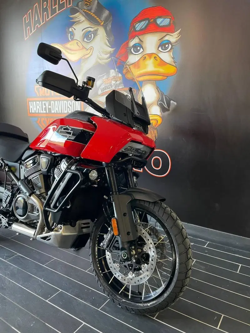 Harley-Davidson Pan America 1250 Special (2020 - 25) (6)