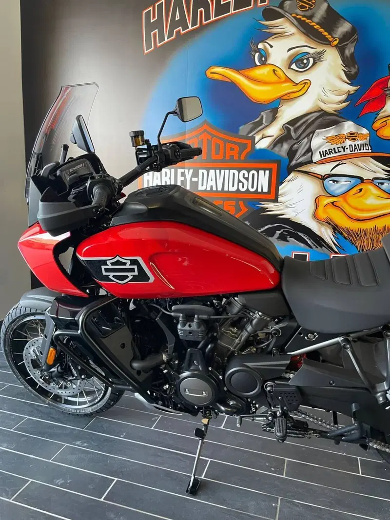 Harley-Davidson Pan America 1250 Special (2020 - 25) (7)
