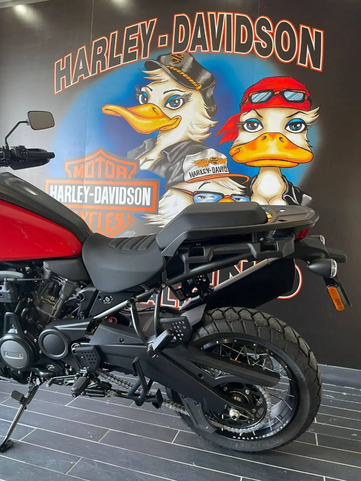 Harley-Davidson Pan America 1250 Special (2020 - 25) (9)