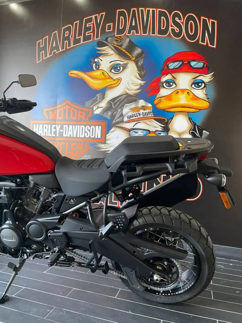 Harley-Davidson Pan America 1250 Special (2020 - 25) (9)