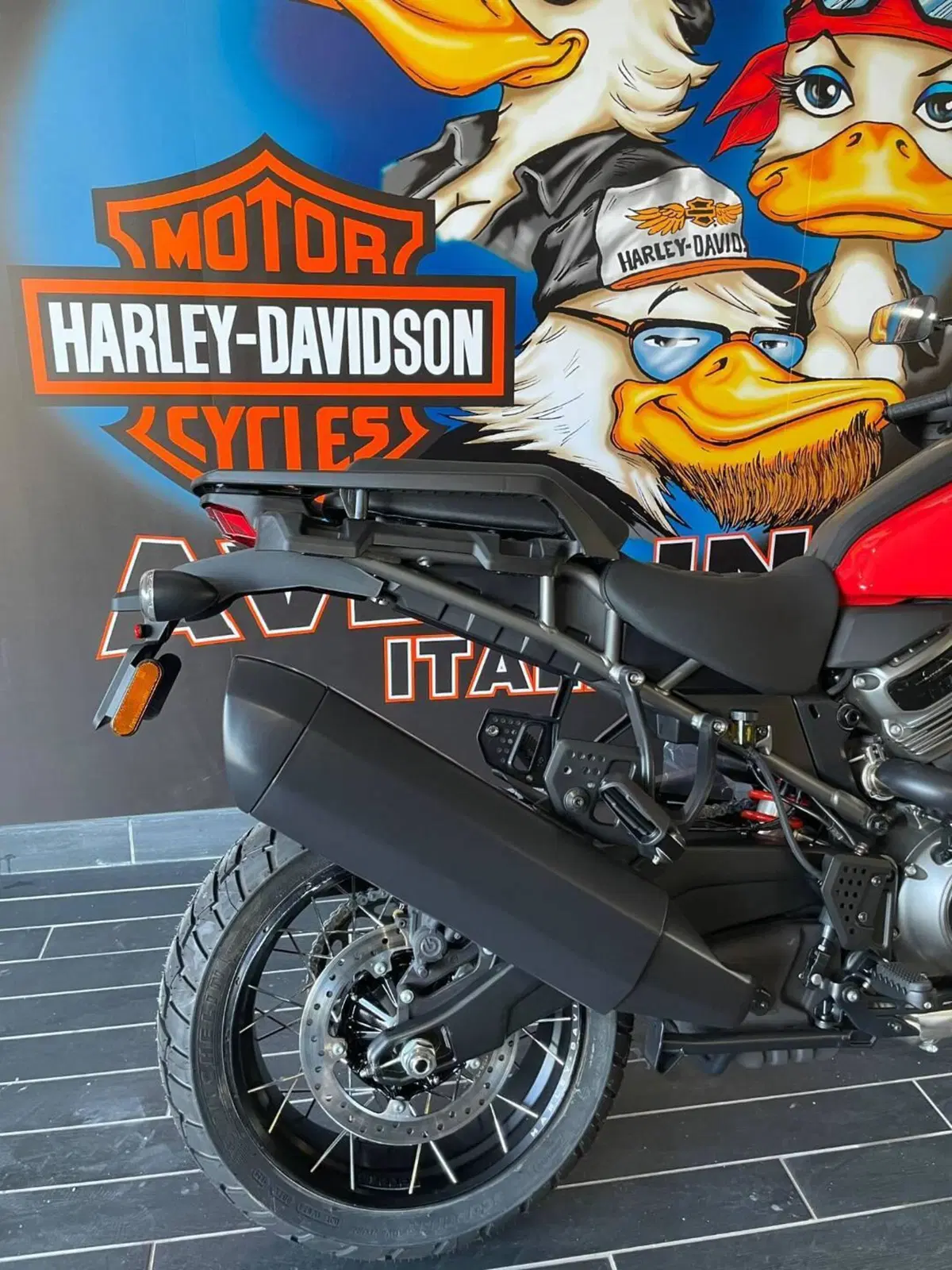 Harley-Davidson Pan America 1250 Special (2020 - 25) (12)