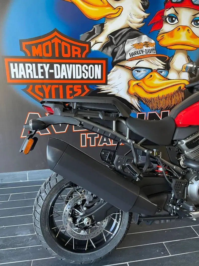 Harley-Davidson Pan America 1250 Special (2020 - 25) (12)