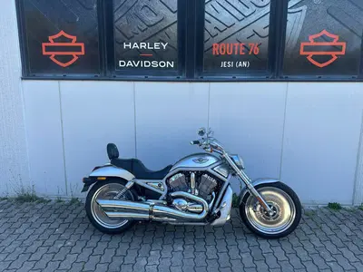 Harley-Davidson 1130 V-Rod (2002 - 05) - VRSCA usata