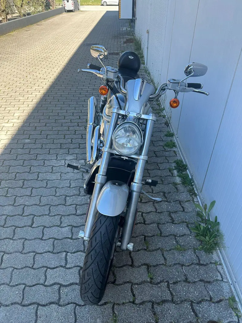Harley-Davidson 1130 V-Rod (2002 - 05) - VRSCA (2)