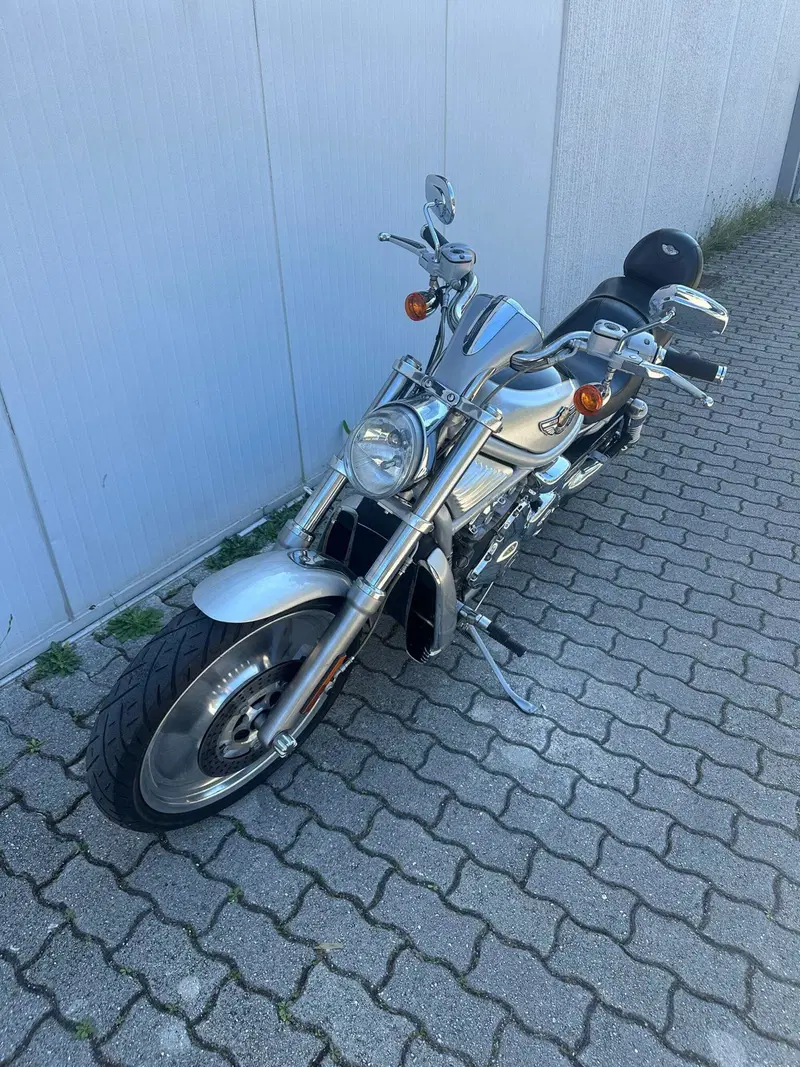 Harley-Davidson 1130 V-Rod (2002 - 05) - VRSCA (10)