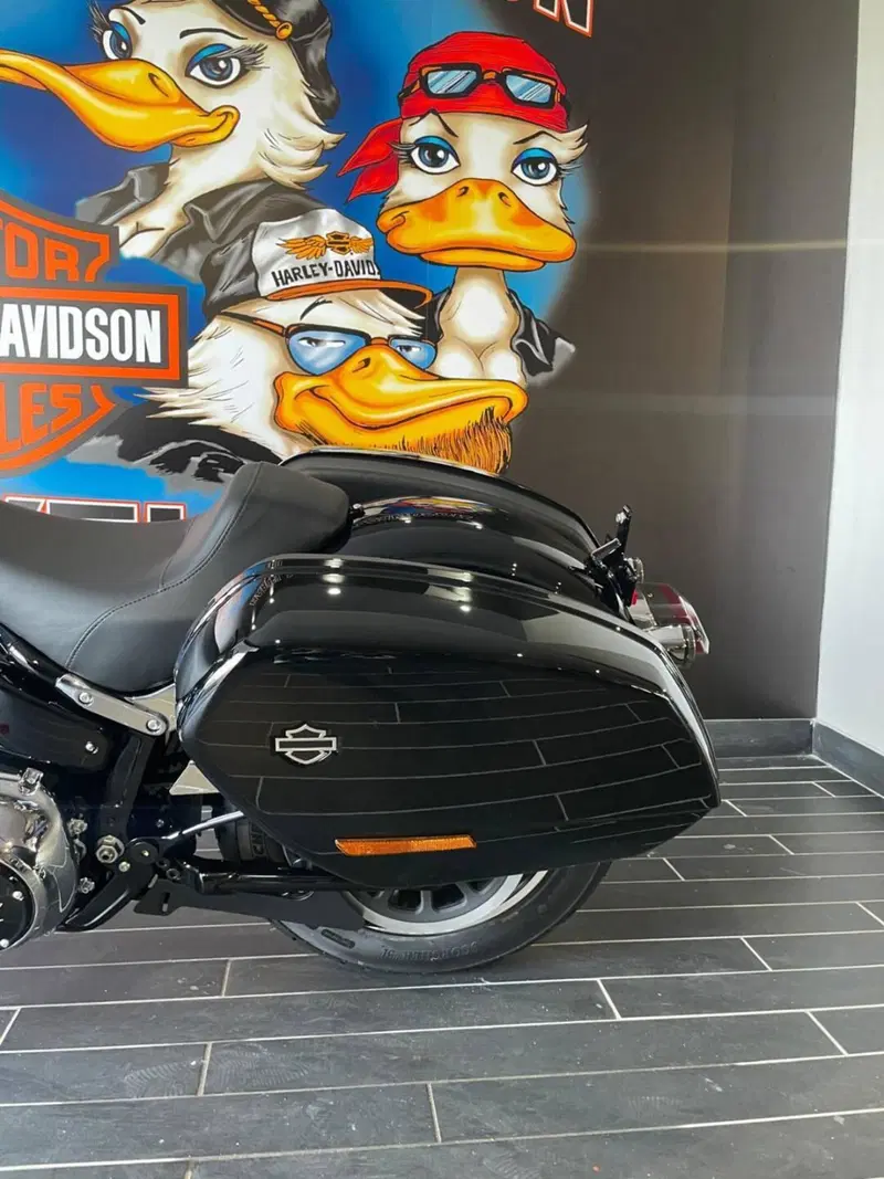 Harley-Davidson Low Rider ST (2025 - 26) (5)