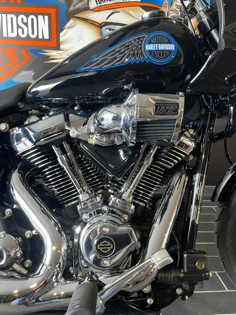Harley-Davidson Low Rider ST (2025 - 26) (6)