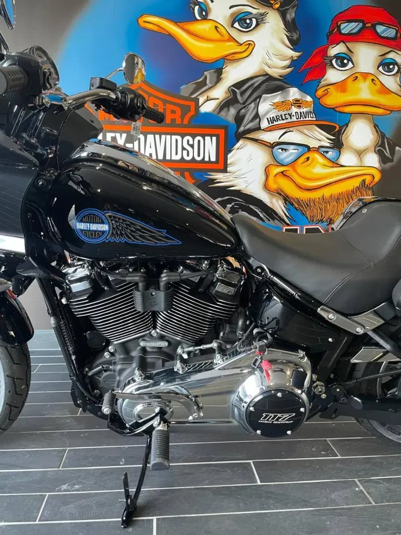Harley-Davidson Low Rider ST (2025 - 26) (12)
