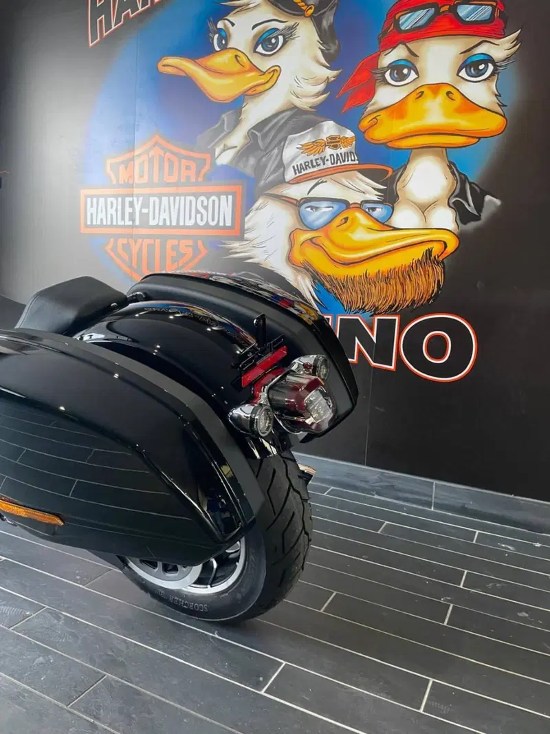 Harley-Davidson Low Rider ST (2025 - 26) (13)