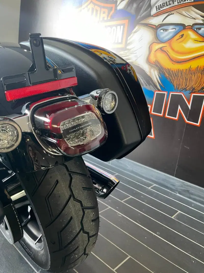Harley-Davidson Low Rider ST (2025 - 26) (14)