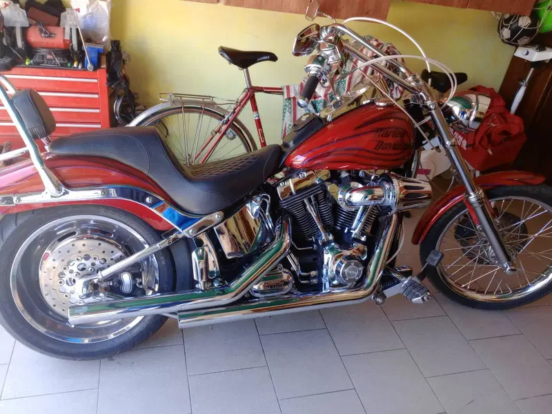 Harley-Davidson 1584 Custom (2008 - 09) - FXSTC