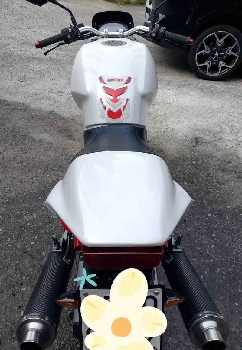 Ducati Monster 600 (1994 - 02) (3)
