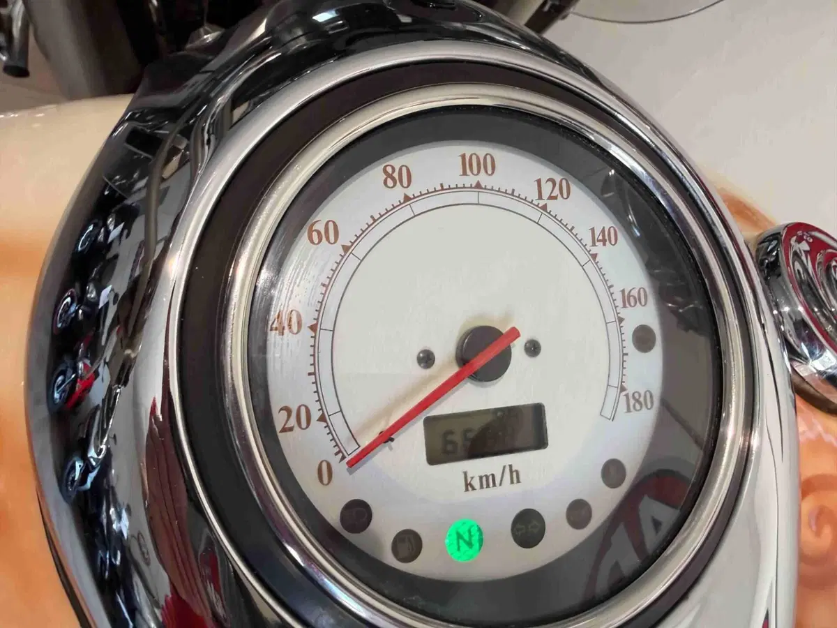 Yamaha XVZ 1300 Royal Star (1996 - 02) (6)