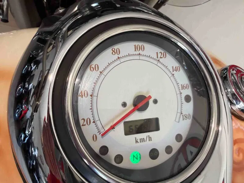 Yamaha XVZ 1300 Royal Star (1996 - 02) (6)