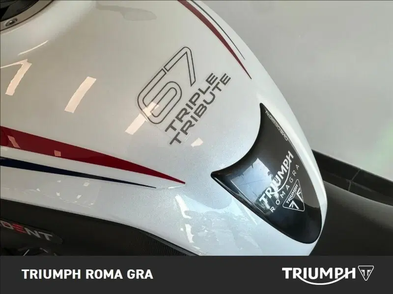 Triumph Trident 660 Triple Tribute Edition (2024) (17)