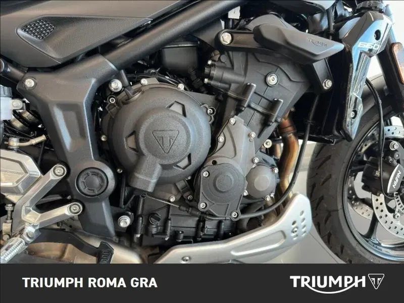 Triumph Trident 660 Triple Tribute Edition (2024) (11)