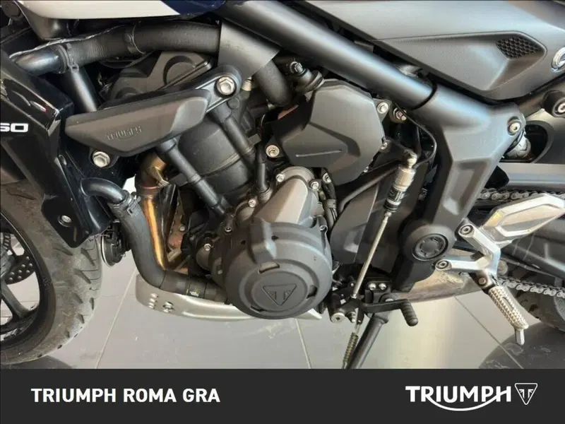 Triumph Trident 660 Triple Tribute Edition (2024) (7)