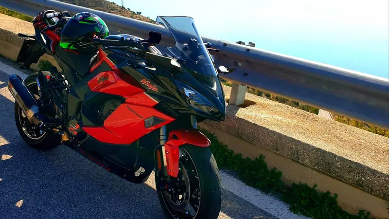 Kawasaki Ninja 1000 SX 40th Anniversary Edition (2024) (2)