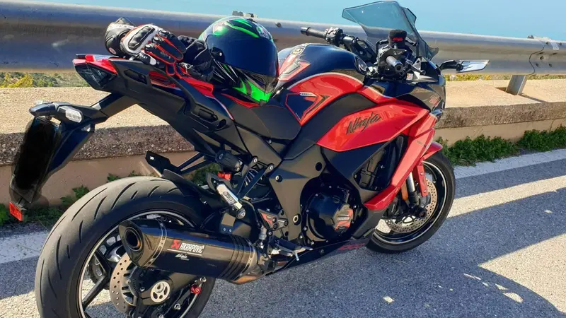 Kawasaki Ninja 1000 SX 40th Anniversary Edition (2024) (3)