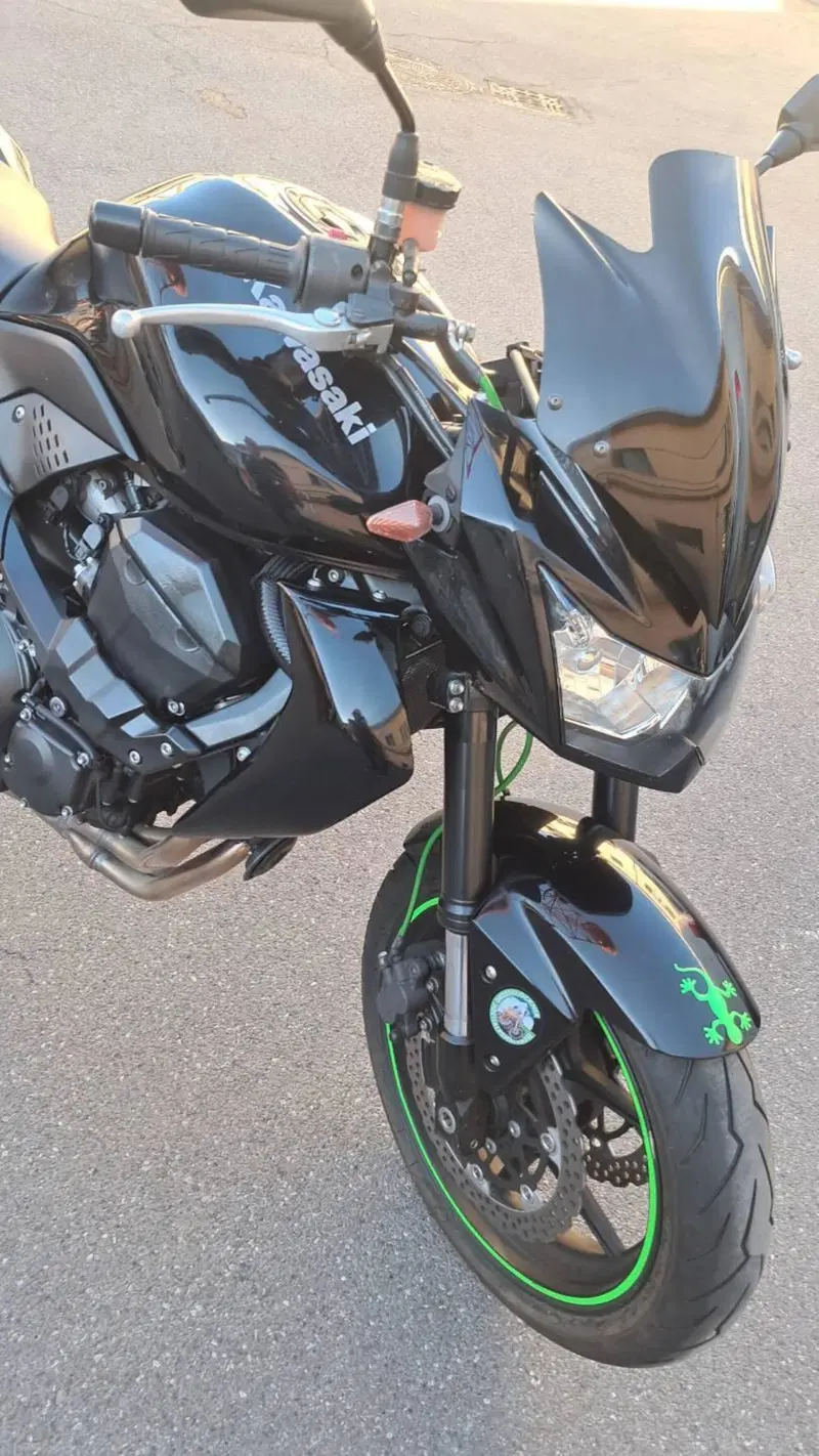 Kawasaki Z 750 (2007 - 14) (9)