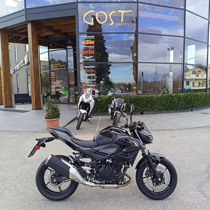 Kawasaki Z 500 (2024 - 26)
