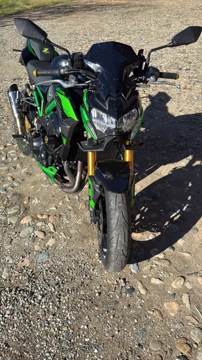 Kawasaki Z 900 (2021 - 24) usata