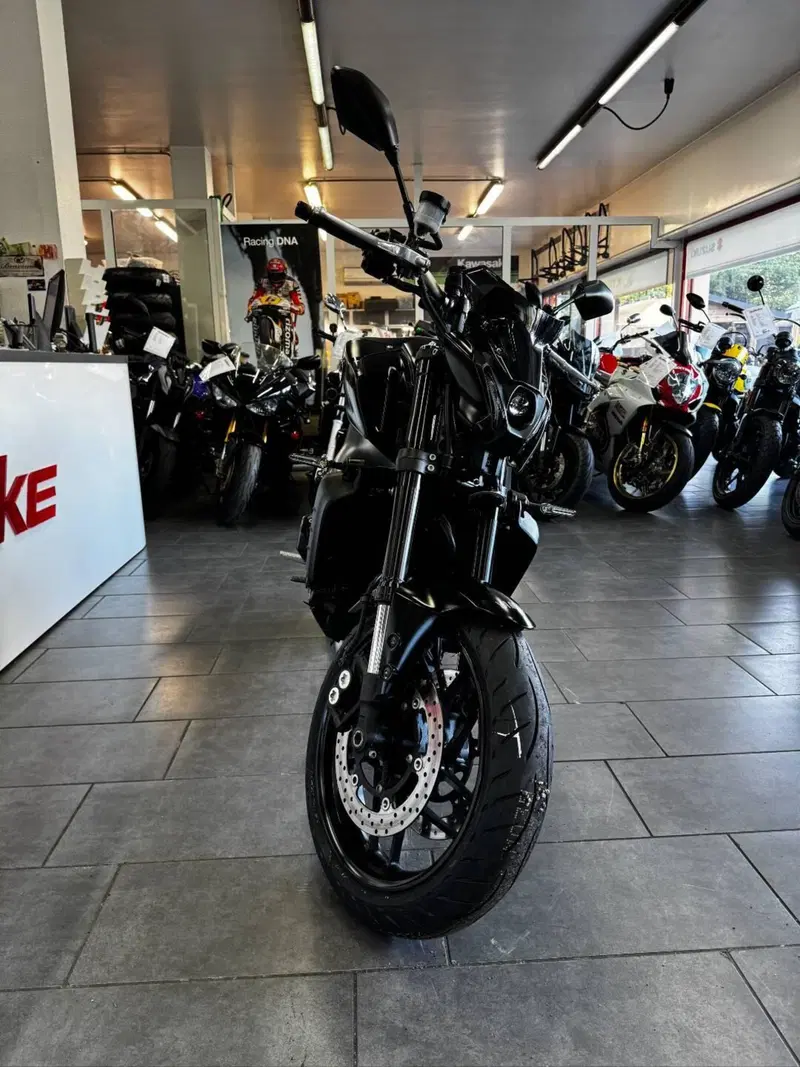 Yamaha MT-09 (2021 - 23) (3)