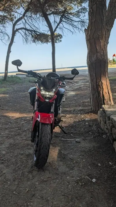 Honda CB 500 F (2021) usata