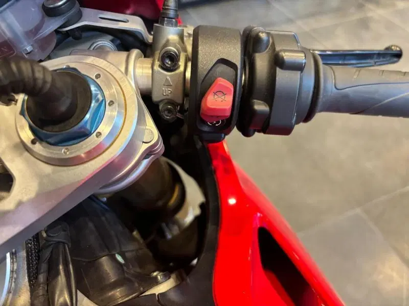Ducati Panigale V4 S 1100 (2018 - 19) (7)