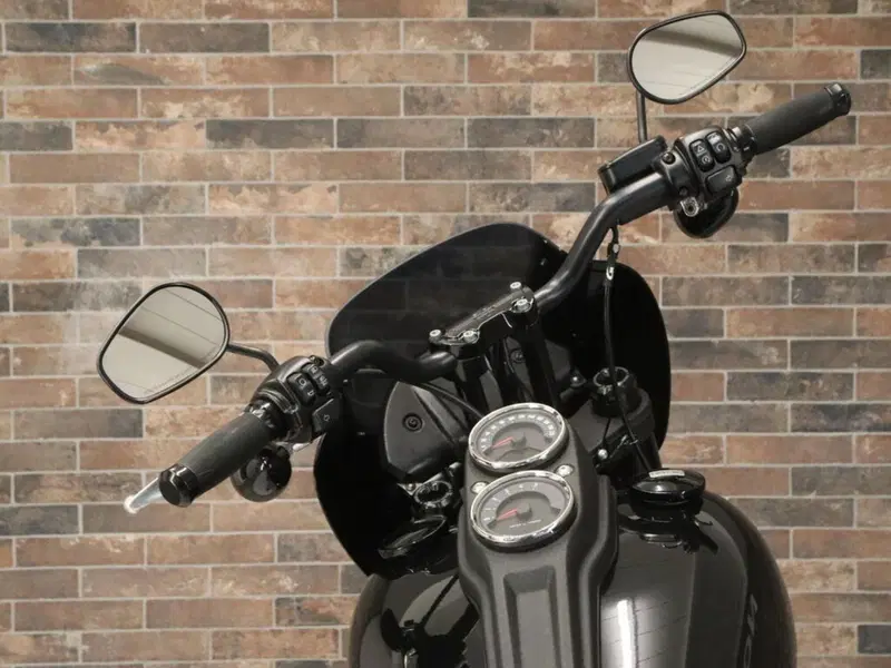 Harley-Davidson 114 Low Rider S (2020) - FXLRS (14)
