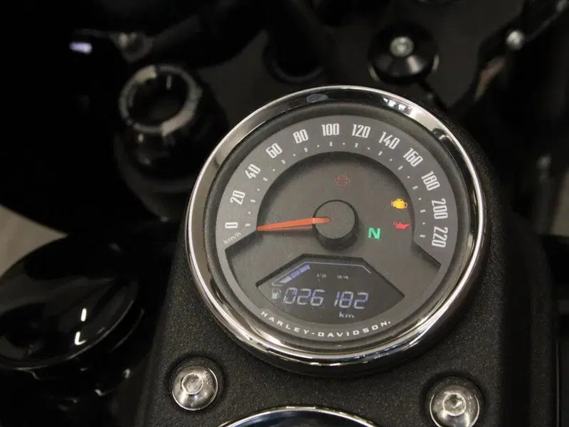 Harley-Davidson 114 Low Rider S (2020) - FXLRS (15)
