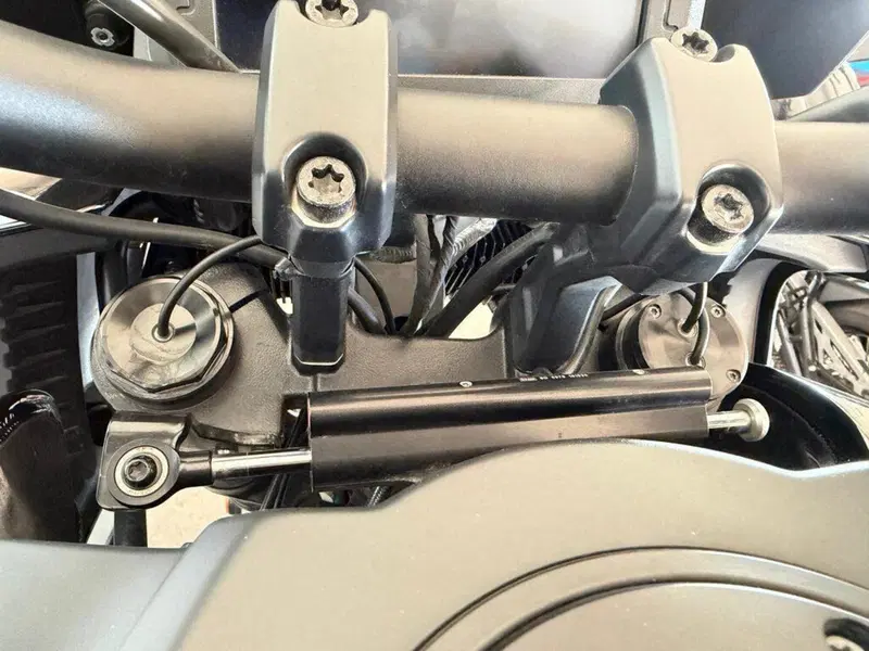 Harley-Davidson Pan America 1250 Special (2020 - 25) (5)