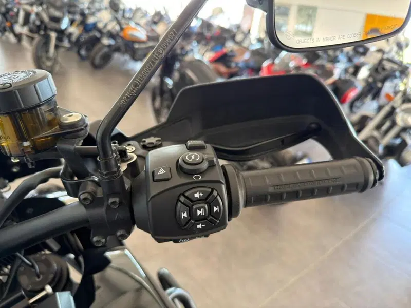 Harley-Davidson Pan America 1250 Special (2020 - 25) (7)