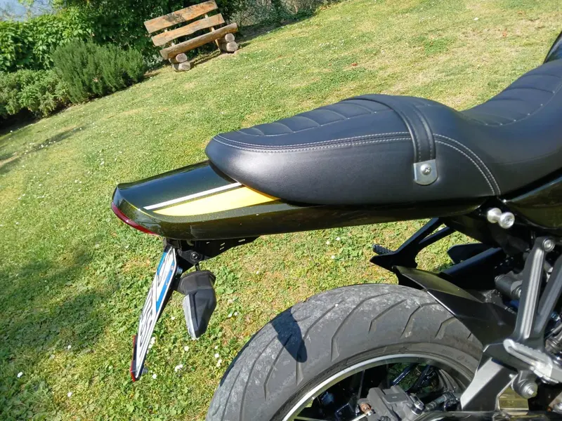 Kawasaki Z 900 RS (2018 - 20) (6)