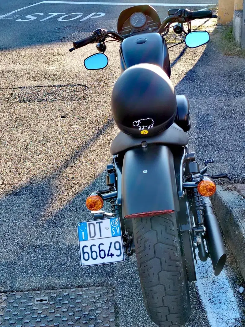 Harley-Davidson 883 Iron (2009 - 11) - XL 883N (4)