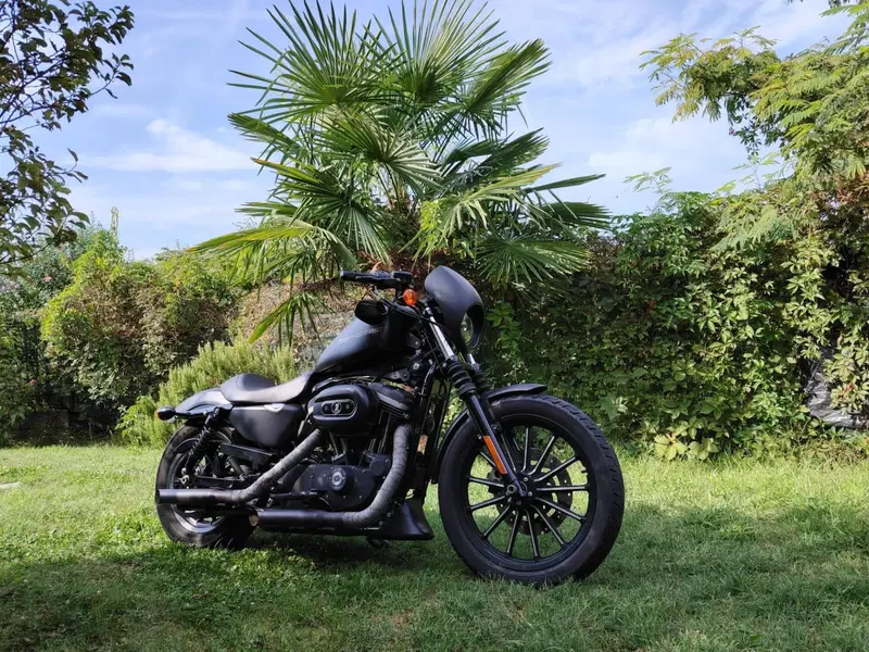 Harley-Davidson 883 Iron (2009 - 11) - XL 883N (5)