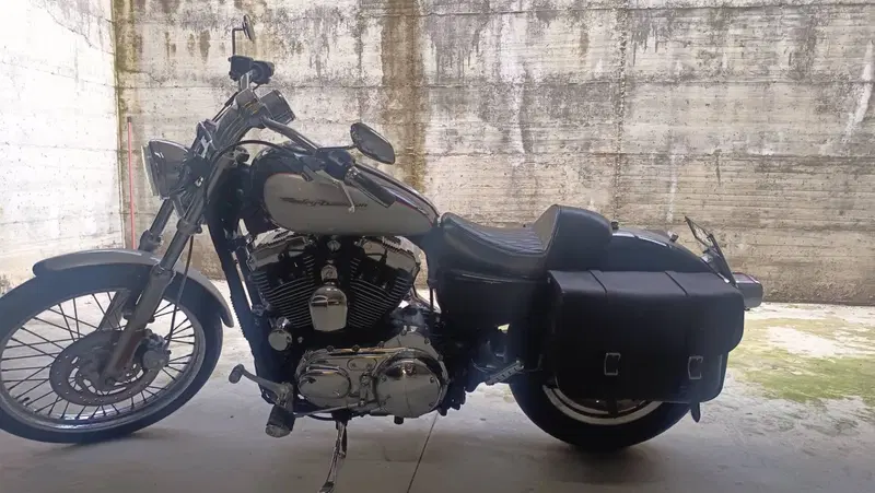 Harley-Davidson 1200 Custom (2004 - 06) - XL 1200C (2)