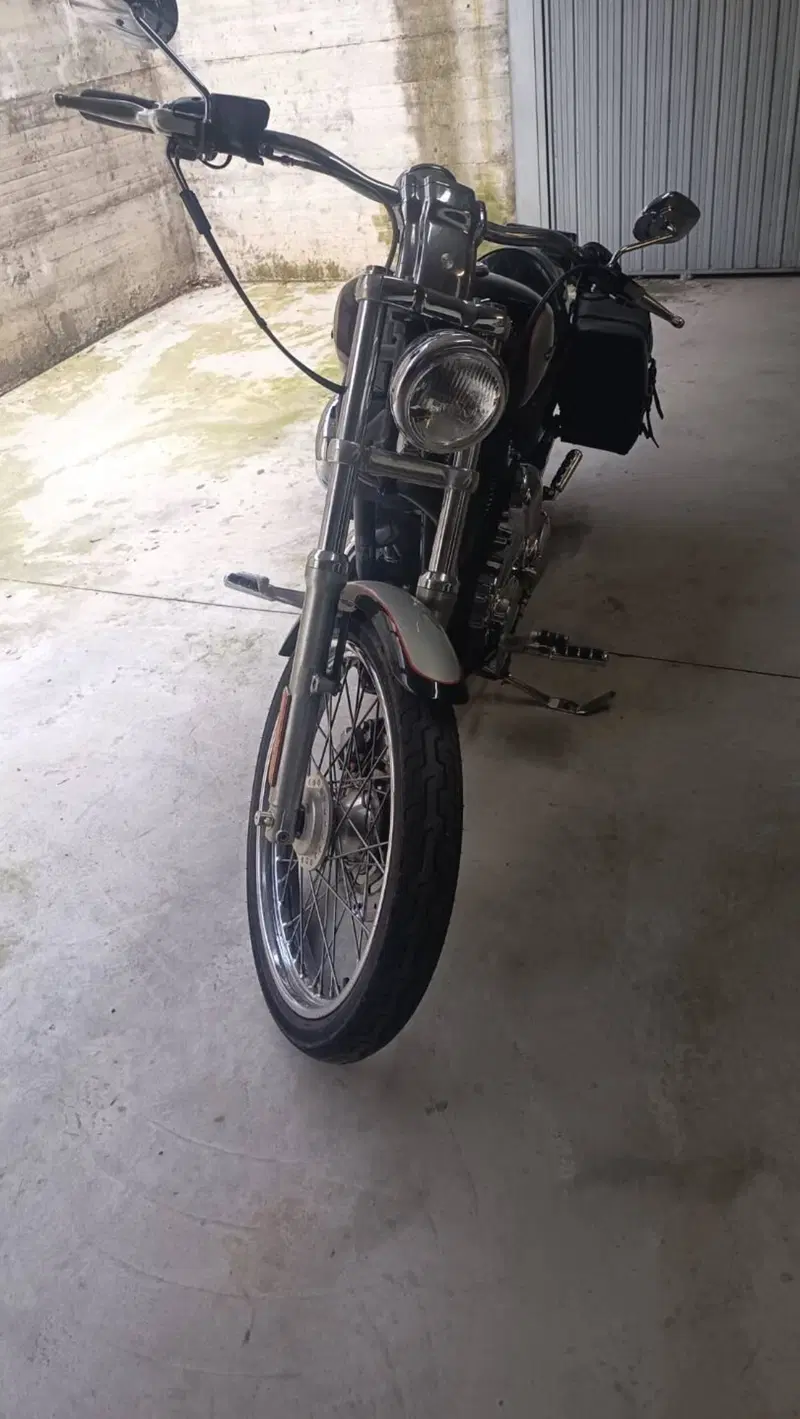 Harley-Davidson 1200 Custom (2004 - 06) - XL 1200C (3)