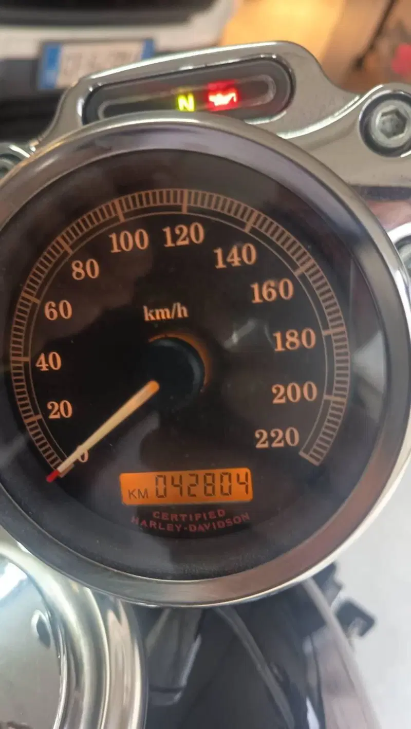 Harley-Davidson 1200 Custom (2004 - 06) - XL 1200C (7)