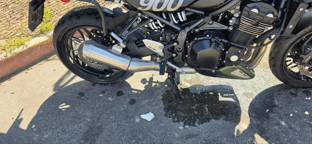 Kawasaki Z 900 RS (2018 - 20) (2)