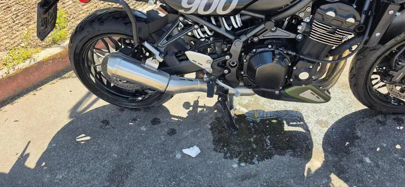 Kawasaki Z 900 RS (2018 - 20) (2)