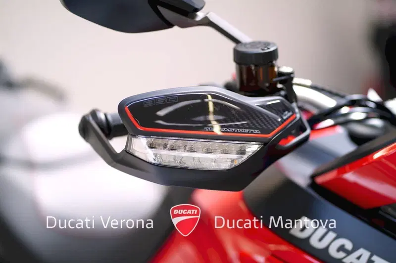 Ducati Multistrada 950 (2021) (10)