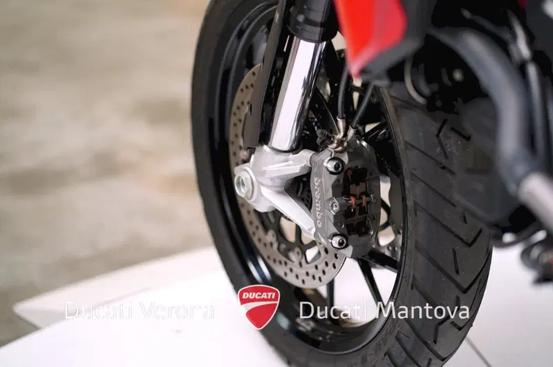 Ducati Multistrada 950 (2021) (17)