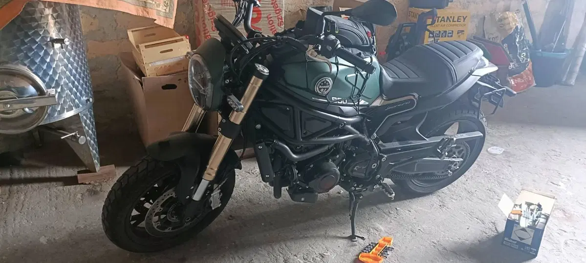 Benelli Leoncino 800 (2022 - 26) (5)