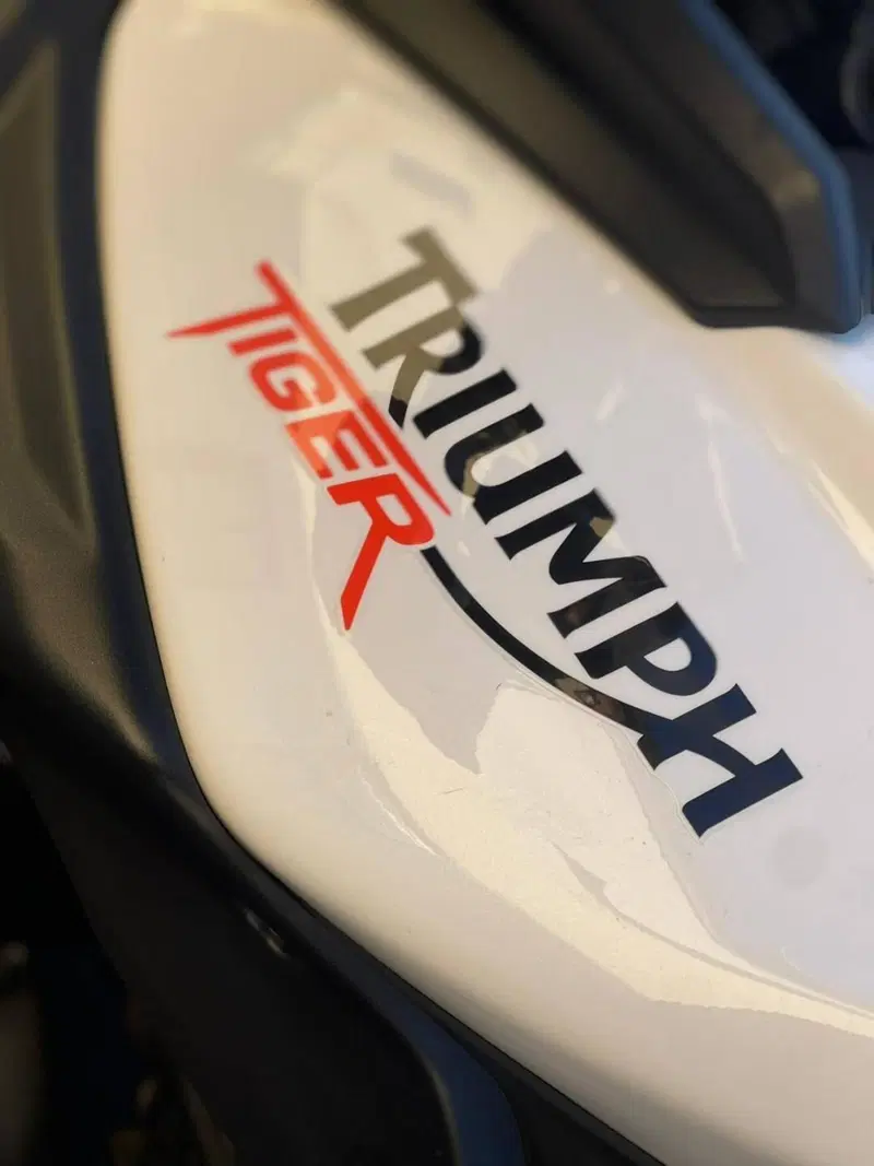 Triumph Tiger 800 ABS (2010 - 14) (3)