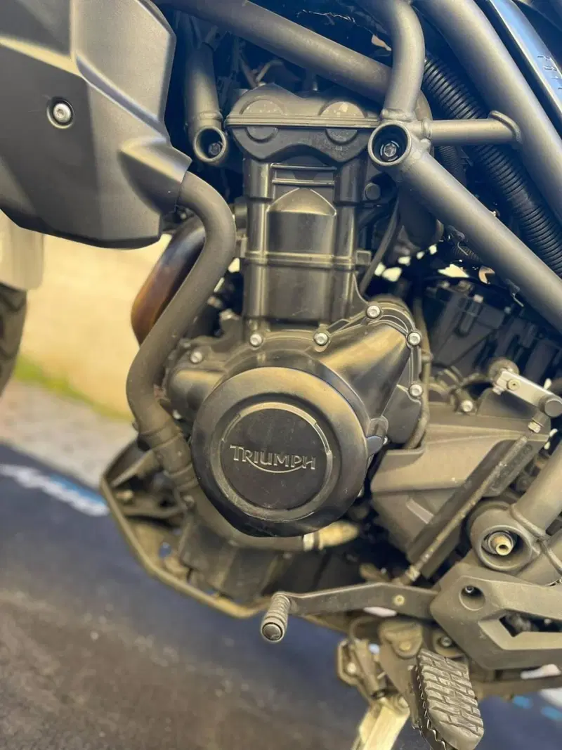 Triumph Tiger 800 ABS (2010 - 14) (10)