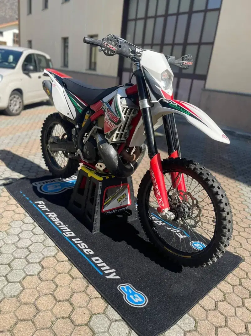 GASGAS EC 300 Six Days (2010 - 11) (3)